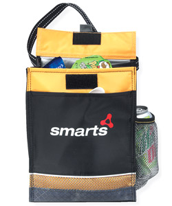 Icy Bright Lunch Sack