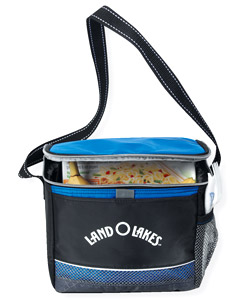 Icy Bright Lunch Cooler