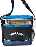 Icy Bright Lunch Cooler