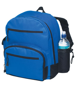 Level One Backpack