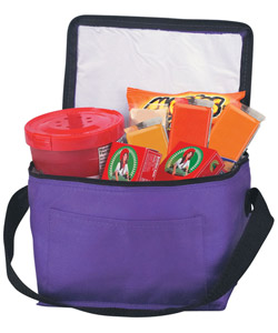 Non-Woven Insulated 6 Pack Kooler Bag