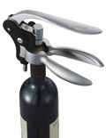 Wine Companion Gift Set