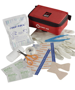 StaySafe Portable First Aid Kit