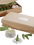 Essentials Apple Incense Kit