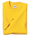 Gildan� Heavy Cotton 100% Cotton T-Shirt