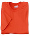 Hanes� Heavyweight 50/50-50/50 Cotton/Poly T-Shirt