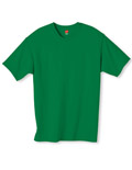 Hanes� Tagless 100% Cotton T-Shirt