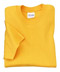 Hanes� Heavyweight 100% Cotton T-Shirt